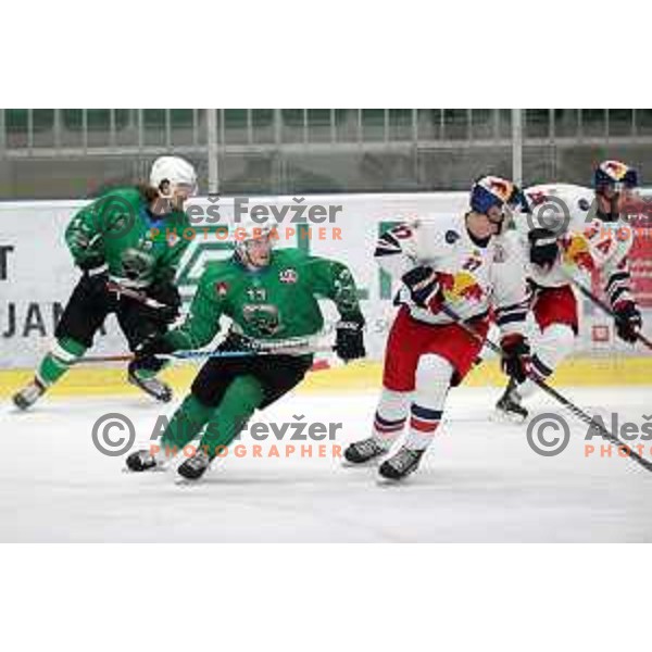 of SZ Olimpija in action during Alps League (AHL) ice hockey match between SZ Olimpija and Red Bulls 2 in Tivoli Hall, Ljubljana on January 5, 2019