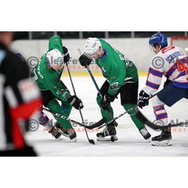 Anej Kujavec and Luka Ulamec of SZ Olimpija in action during Alps League ice-hockey match between SZ Olimpija and Fassa in Tivoli Hall, Ljubljana, Slovenia on January 9, 2018