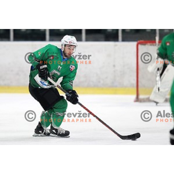 Zan Jezovsek of SZ Olimpija in action during Alps League ice-hockey match between SZ Olimpija and Fassa in Tivoli Hall, Ljubljana, Slovenia on January 9, 2018