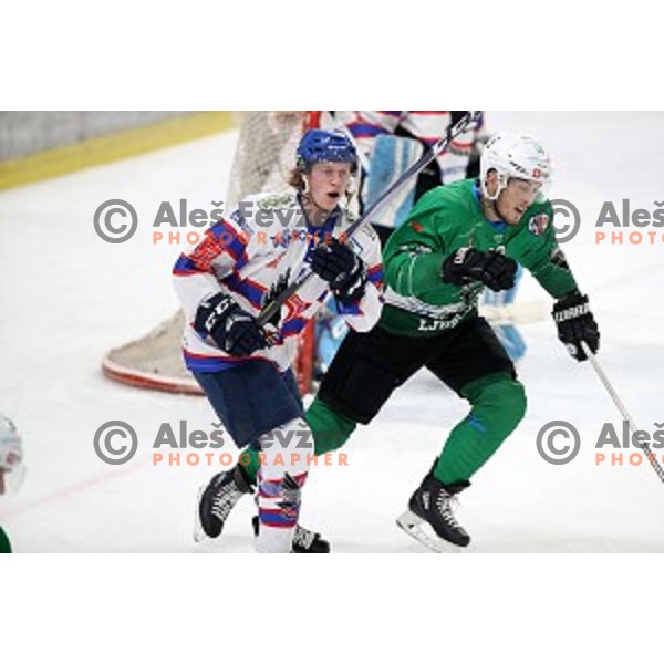 of SZ Olimpija in action during Alps League ice-hockey match between SZ Olimpija and Fassa in Tivoli Hall, Ljubljana, Slovenia on January 9, 2018