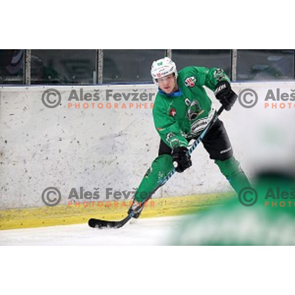 Anej Kujavec of SZ Olimpija in action during Alps League ice-hockey match between SZ Olimpija and Fassa in Tivoli Hall, Ljubljana, Slovenia on January 9, 2018