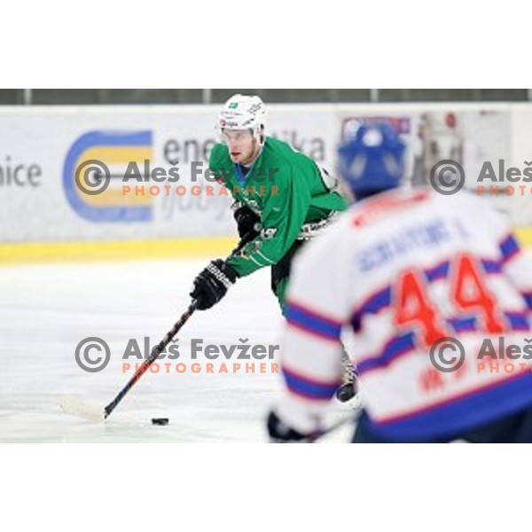 Miha Zajc of SZ Olimpija in action during Alps League ice-hockey match between SZ Olimpija and Fassa in Tivoli Hall, Ljubljana, Slovenia on January 9, 2018