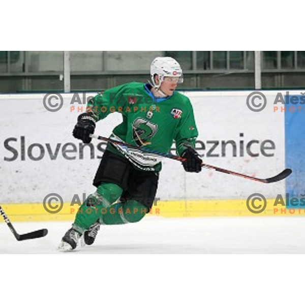 Kristjan Cepon of SZ Olimpija in action during Alps League ice-hockey match between SZ Olimpija and Fassa in Tivoli Hall, Ljubljana, Slovenia on January 9, 2018