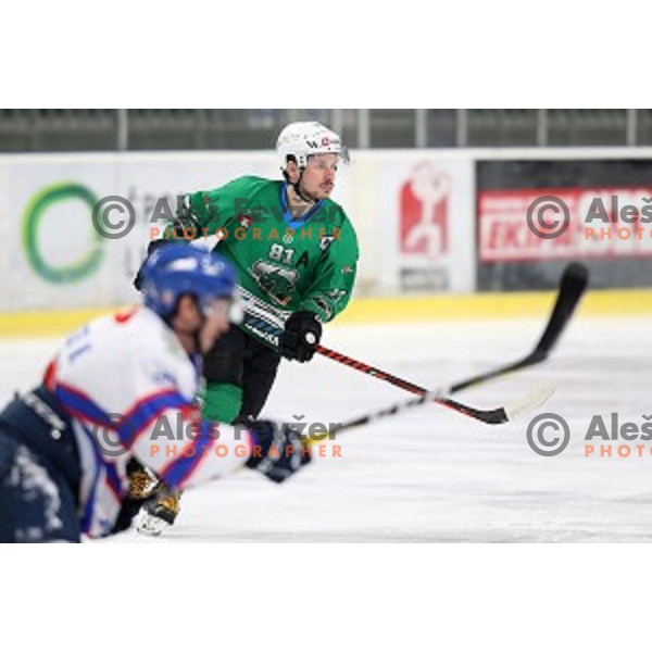 Saso Rajsar of SZ Olimpija in action during Alps League ice-hockey match between SZ Olimpija and Fassa in Tivoli Hall, Ljubljana, Slovenia on January 9, 2018