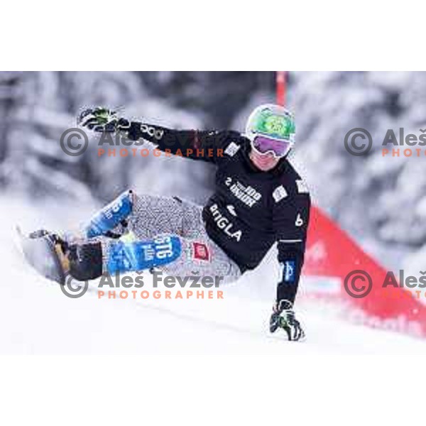 Rok Marguc of Slovenia finished third at FIS World Cup Snowboard Parallel Giant Slalom at Rogla, Slovenia on January 19, 2019