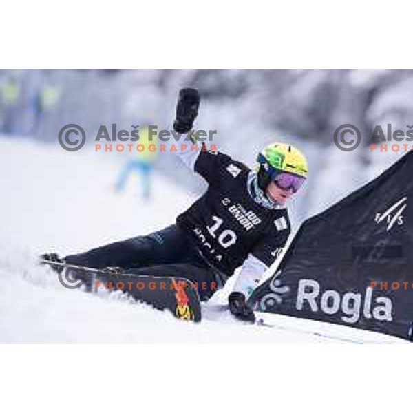 Tim Mastnak of Slovenia in action during FIS World Cup Snowboard Parallel Giant Slalom at Rogla, Slovenia on January 19, 2019