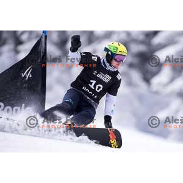 Tim Mastnak of Slovenia in action during FIS World Cup Snowboard Parallel Giant Slalom at Rogla, Slovenia on January 19, 2019