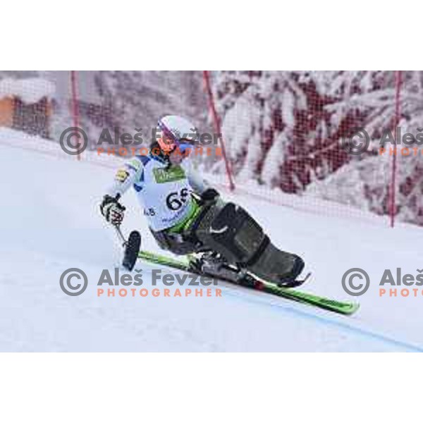 Jernej Slivnik racing at IPC Alpine Giant Slalom, Para World Championships, Kranjska gora, Slovenia on January 21, 2019 