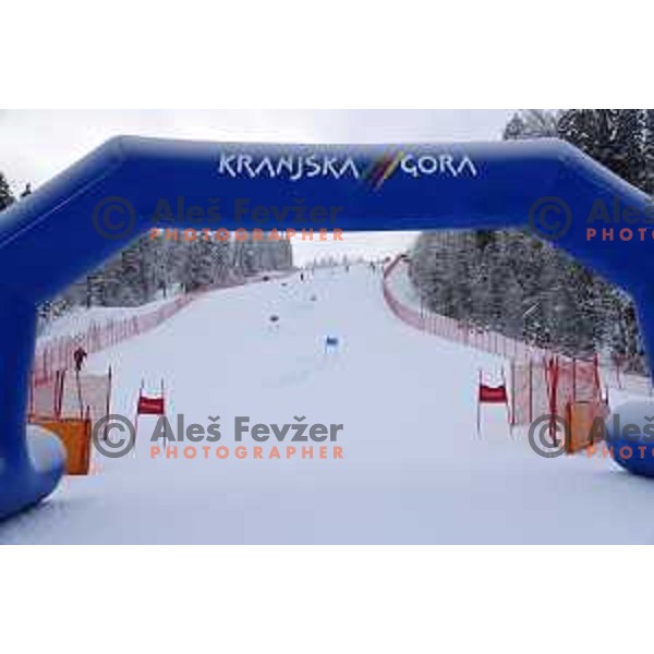 IPC Alpine Giant Slalom, Para World Championships, Kranjska gora, Slovenia on January 21, 2019