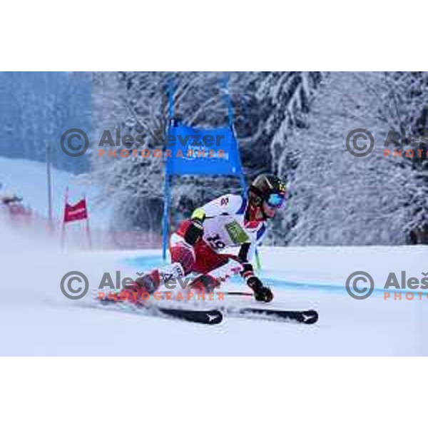IPC Alpine Giant Slalom, Para World Championships, Kranjska gora, Slovenia on January 21, 2019