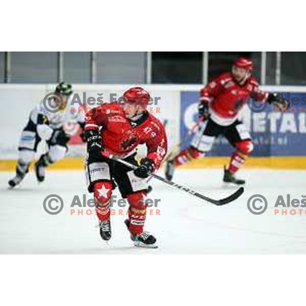 of Acroni Jesenice in action during Alps League ice-hockey match between Acroni Jesenice and Zeller in Podmezakla Hall, Jesenice, Slovenia on January 26, 2019