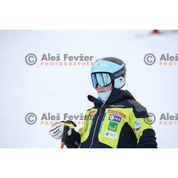 Course inspection before AUDI FIS World Cup Giant Slalom for 55. Golden Fox Zlata Lisica in Maribor, Slovenia on February 1, 2019