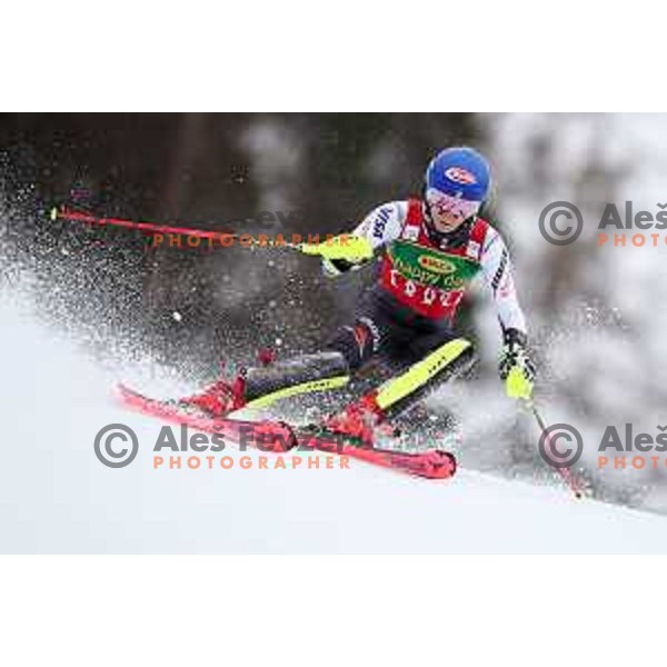 Mikaela Shiffrin (USA) skiing in the first run of AUDI FIS World Cup Slalom for 55. Golden Fox Zlata Lisica in Maribor, Slovenia on February 2, 2019