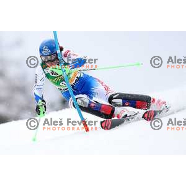 Petra Vlhova (SVK) skiing in the first run of AUDI FIS World Cup Slalom for 55. Golden Fox Zlata Lisica in Maribor, Slovenia on February 2, 2019