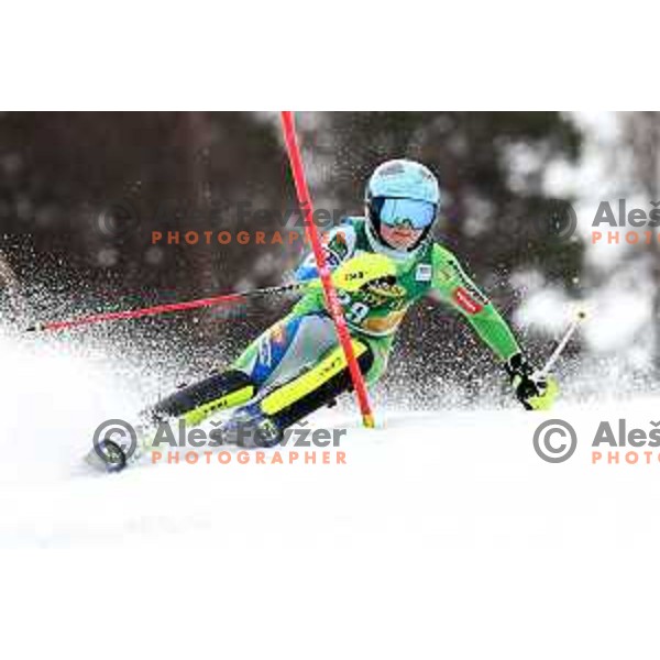 Meta Hrovat (SLO) skiing in the first run of AUDI FIS World Cup Slalom for 55. Golden Fox Zlata Lisica in Maribor, Slovenia on February 2, 2019