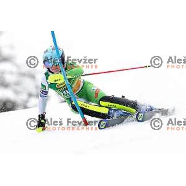 Meta Hrovat (SLO) skiing in the first run of AUDI FIS World Cup Slalom for 55. Golden Fox Zlata Lisica in Maribor, Slovenia on February 2, 2019