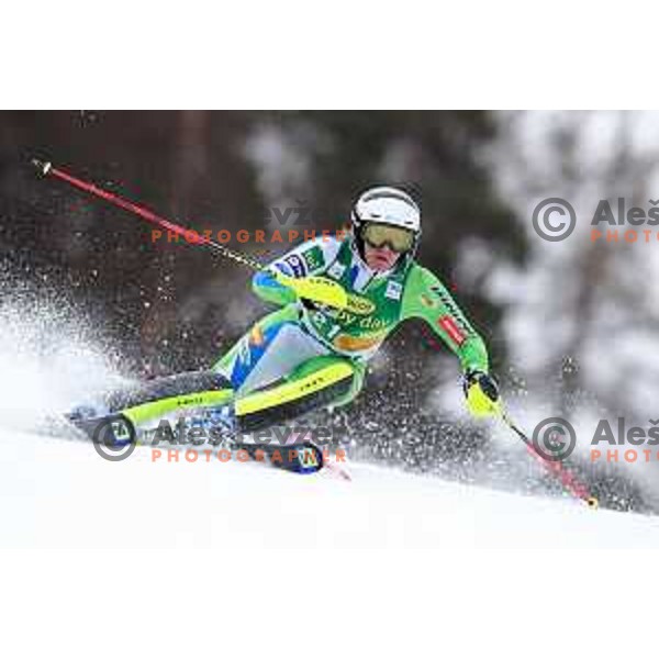 Marusa Ferk skiing in the first run of AUDI FIS World Cup Slalom for 55. Golden Fox Zlata Lisica in Maribor, Slovenia on February 2, 2019