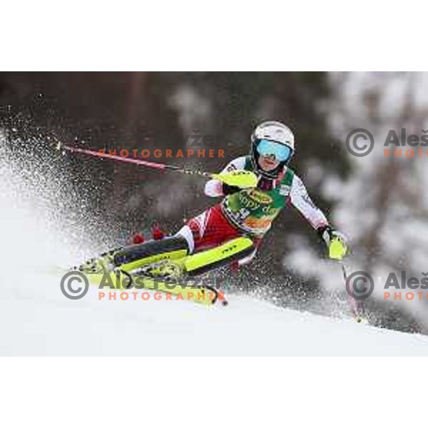 AUDI FIS World Cup Slalom for 55. Golden Fox Zlata Lisica in Maribor, Slovenia on February 2, 2019