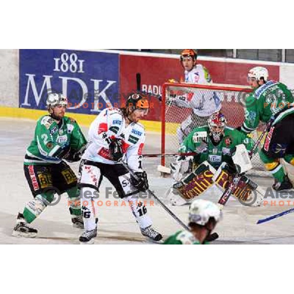 Mitchell (2), Lindner (16) and Westlund at ice-hockey game ZM Olimpija- TWK Innsbruck in Ebel league, played in Ljubljana, Slovenia 3.2.2008.ZM Olimpija won the game 5;2. Photo by Ales Fevzer 