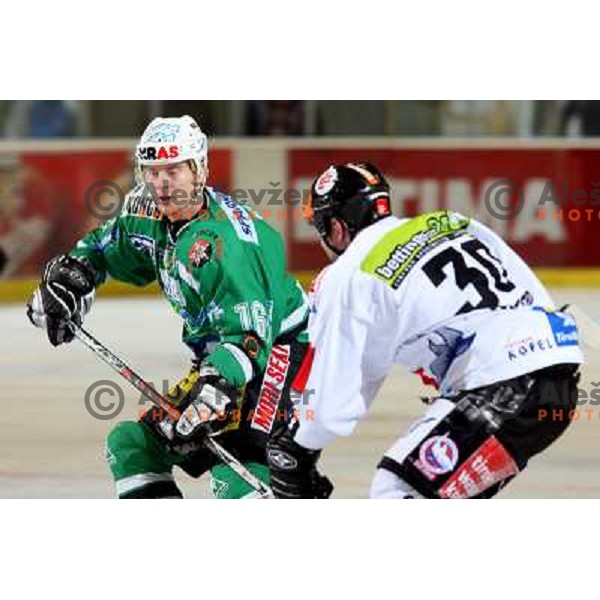 Music (16) and Hohenberger (30) at ice-hockey game ZM Olimpija- TWK Innsbruck in Ebel league, played in Ljubljana, Slovenia 3.2.2008.ZM Olimpija won the game 5;2. Photo by Ales Fevzer 