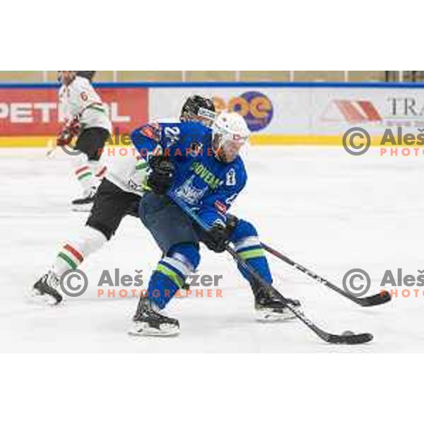 Rok Ticar in action during IEHC ice-hockey match between Slovenia and Hungary in Bled Ice Hall, Slovenia on February 7, 2019