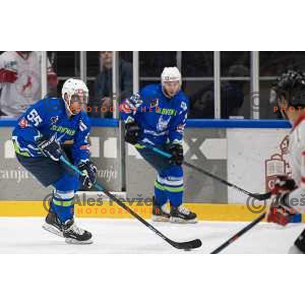 Robert Sabolic in action during EIHC ice-hockey match between Slovenia and Hungary in Bled Ice Hall, Slovenia on February 7, 2019