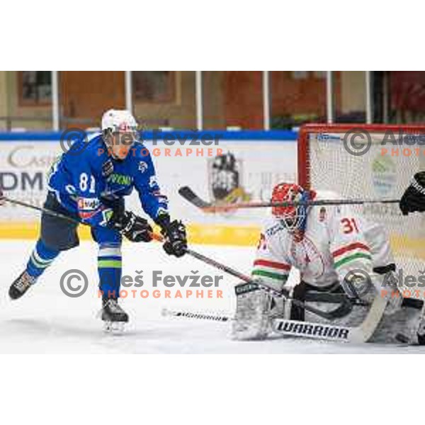 action during EIHC ice-hockey match between Slovenia and Hungary in Bled Ice Hall, Slovenia on February 7, 2019