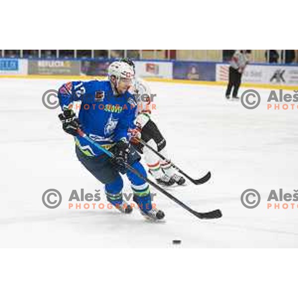 David Rodman in action during EIHC ice-hockey match between Slovenia and Hungary in Bled Ice Hall, Slovenia on February 7, 2019