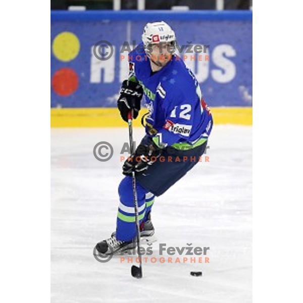 David Rodman of Slovenia in action during EIHC ice-hockey match between Slovenia and Italy in Bled Ice Hall, Slovenia on February 8, 2019