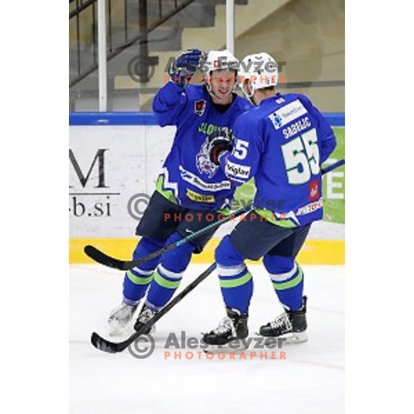 Ziga Jeglic of Slovenia in action during EIHC ice-hockey match between Slovenia and Italy in Bled Ice Hall, Slovenia on February 8, 2019