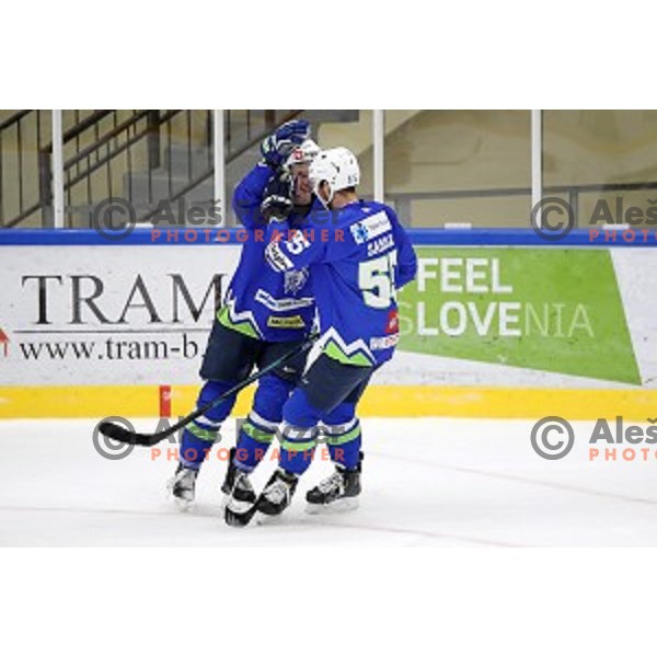 Ziga Jeglic of Slovenia in action during EIHC ice-hockey match between Slovenia and Italy in Bled Ice Hall, Slovenia on February 8, 2019