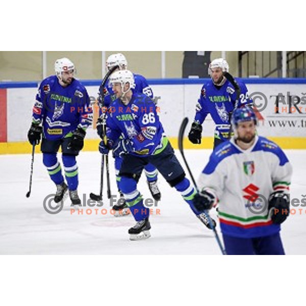 action during EIHC ice-hockey match between Slovenia and Italy in Bled Ice Hall, Slovenia on February 8, 2019