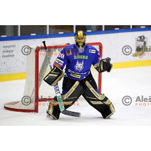 Matija Pintaric in action during EIHC ice-hockey match between Slovenia and Italy in Bled Ice Hall, Slovenia on February 8, 2019