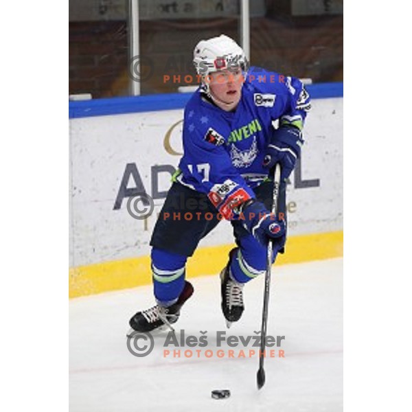 Miha Logar of Slovenia in action during EIHC ice-hockey match between Slovenia and Italy in Bled Ice Hall, Slovenia on February 8, 2019