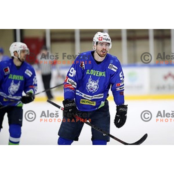 Miha Verlic of Slovenia in action during EIHC ice-hockey match between Slovenia and Italy in Bled Ice Hall, Slovenia on February 8, 2019