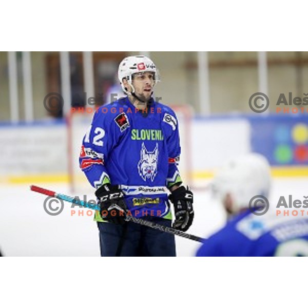 David Rodman during EIHC ice-hockey match between Slovenia and Italy in Bled Ice Hall, Slovenia on February 8, 2019