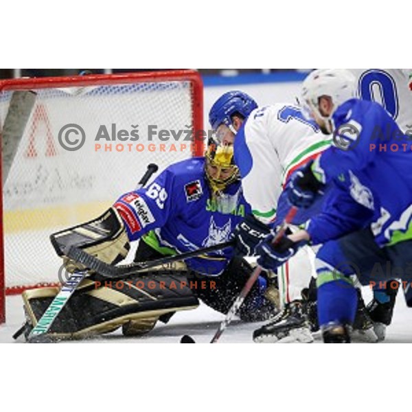 Matija Pintaric, goalie of Slovenia in action during EIHC ice-hockey match between Slovenia and Italy in Bled Ice Hall, Slovenia on February 8, 2019