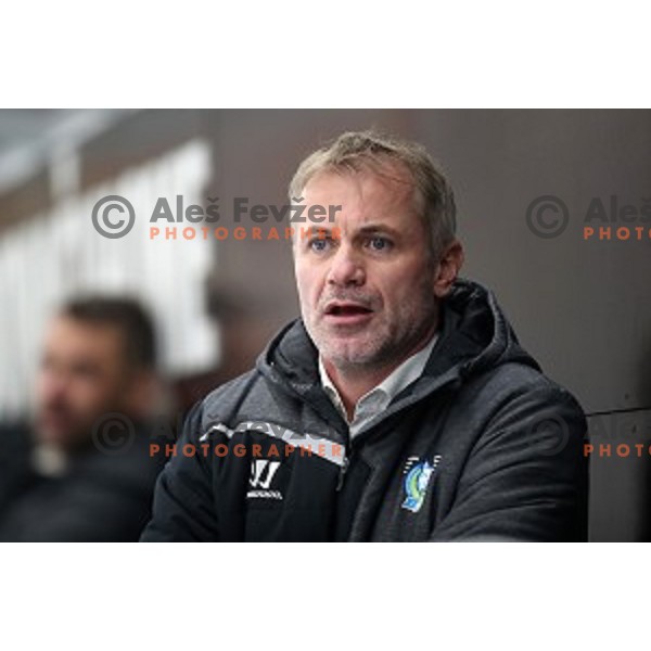Ivo Jan, head coach of Slovenia in action during EIHC ice-hockey match between Slovenia and Italy in Bled Ice Hall, Slovenia on February 8, 2019