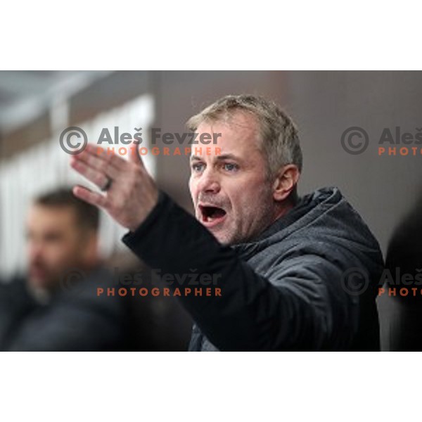 Ivo Jan, head coach of Slovenia in action during EIHC ice-hockey match between Slovenia and Italy in Bled Ice Hall, Slovenia on February 8, 2019