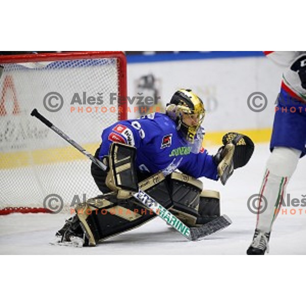 Matija Pintaric, goalie of Slovenia in action during EIHC ice-hockey match between Slovenia and Italy in Bled Ice Hall, Slovenia on February 8, 2019