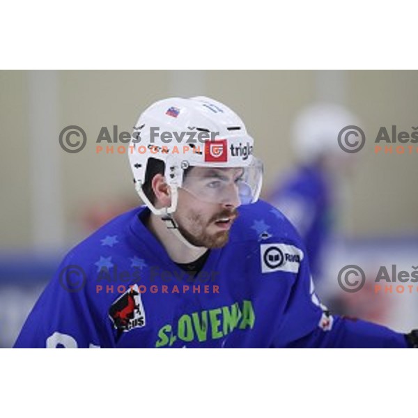 Miha Verlic of Slovenia in action during EIHC ice-hockey match between Slovenia and Italy in Bled Ice Hall, Slovenia on February 8, 2019
