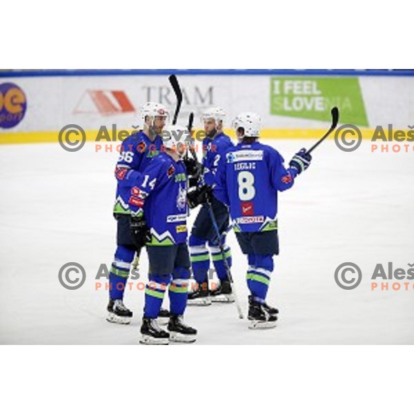 Miha Zajc of Slovenia in action during EIHC ice-hockey match between Slovenia and Belarus in Bled Ice Hall, Slovenia on February 9, 2019