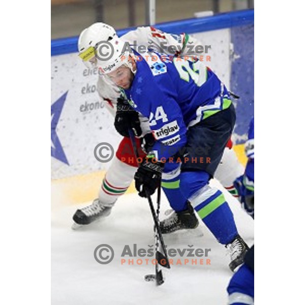 Rok Ticar of Slovenia in action during EIHC ice-hockey match between Slovenia and Belarus in Bled Ice Hall, Slovenia on February 9, 2019