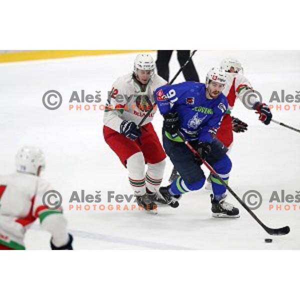 Miha Verlic of Slovenia in action during EIHC ice-hockey match between Slovenia and Belarus in Bled Ice Hall, Slovenia on February 9, 2019