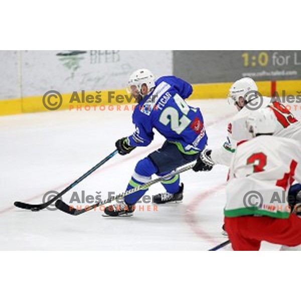 Rok Ticar of Slovenia in action during EIHC ice-hockey match between Slovenia and Belarus in Bled Ice Hall, Slovenia on February 9, 2019