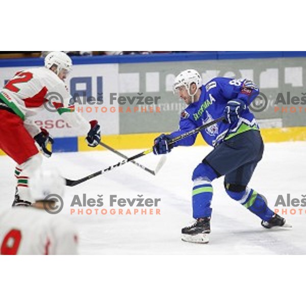 Sabahudin Kovacevic of Slovenia in action during EIHC ice-hockey match between Slovenia and Belarus in Bled Ice Hall, Slovenia on February 9, 2019