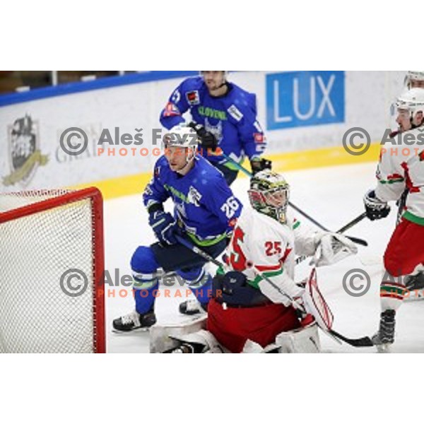 Jan Urbas of Slovenia in action during EIHC ice-hockey match between Slovenia and Belarus in Bled Ice Hall, Slovenia on February 9, 2019