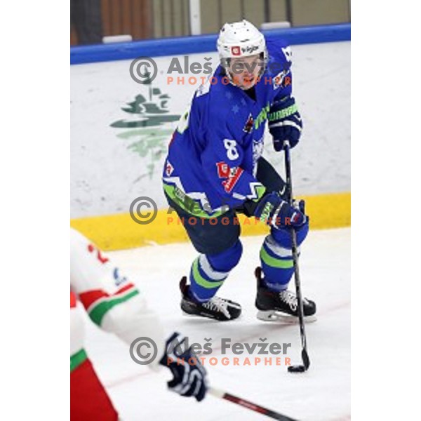 Ziga Jeglic of Slovenia in action during EIHC ice-hockey match between Slovenia and Belarus in Bled Ice Hall, Slovenia on February 9, 2019