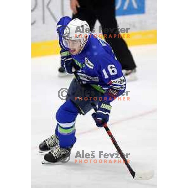 Miha Zajc of Slovenia in action during EIHC ice-hockey match between Slovenia and Belarus in Bled Ice Hall, Slovenia on February 9, 2019