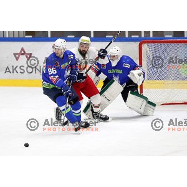 action during EIHC ice-hockey match between Slovenia and Belarus in Bled Ice Hall, Slovenia on February 9, 2019